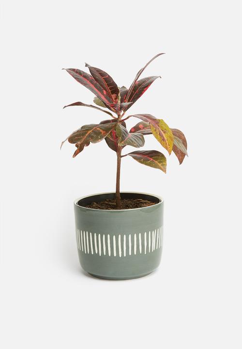 Urchin Art - Tribal outdoor planter - grey