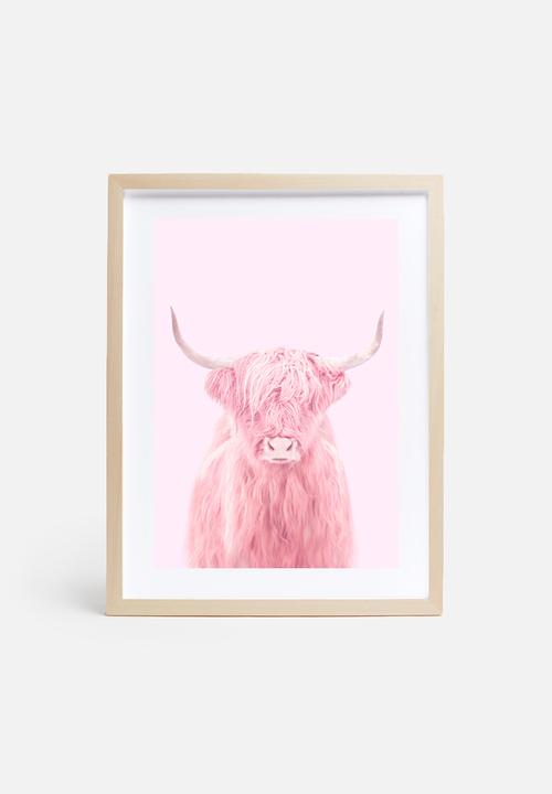 Paul Fuentes - Highland cow