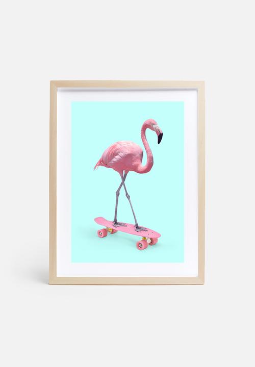 Paul Fuentes - Skate flamingo