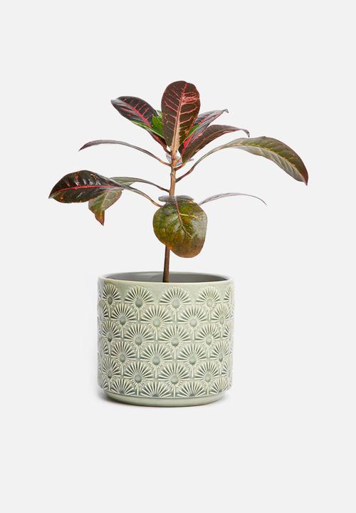 Sixth Floor - Embossed planter - green