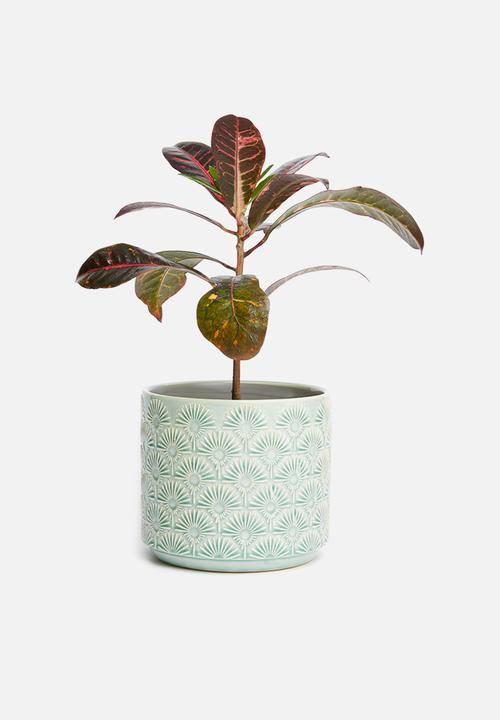 Sixth Floor - Embossed planter - teal