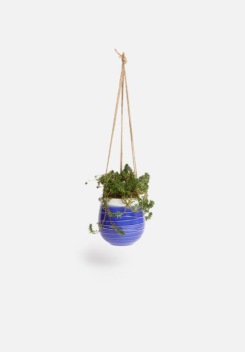 Urchin Art - Dip hanging succulent planter - blue & white