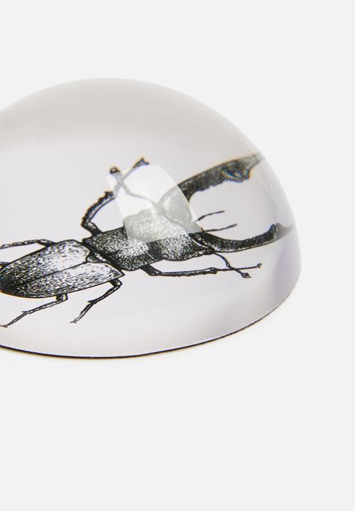 H&S - Glass paperweight - insect