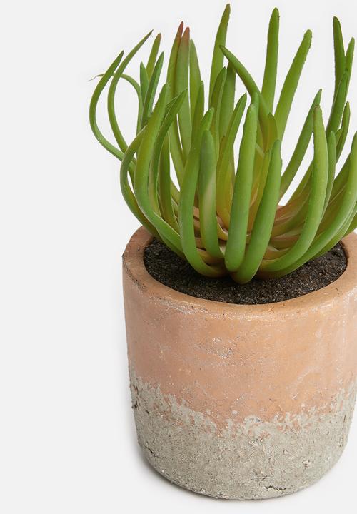 Silk By Design - Small spike