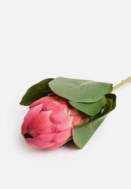 Silk By Design - Queen protea