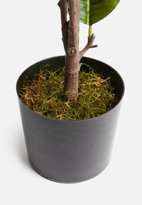 Silk By Design - Rubber plant - green 