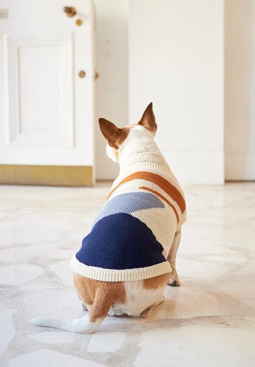 Lucky and Lou - Hayden dog jersey - multi