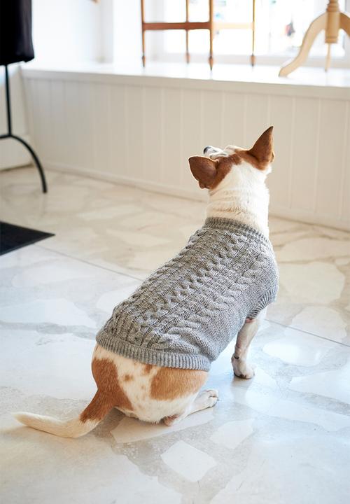 Lucky and Lou - Logan dog jersey - grey