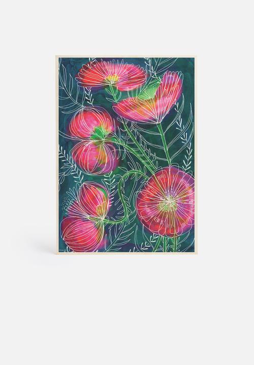 Sweet William - Always flowers