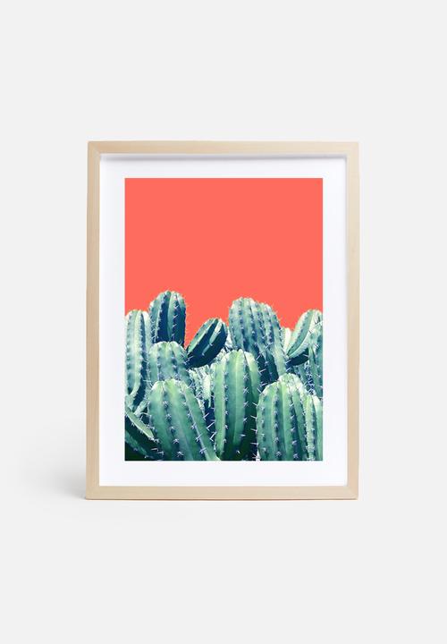 83 Oranges - Cactus on coral