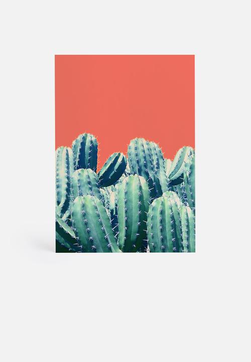 83 Oranges - Cactus on coral