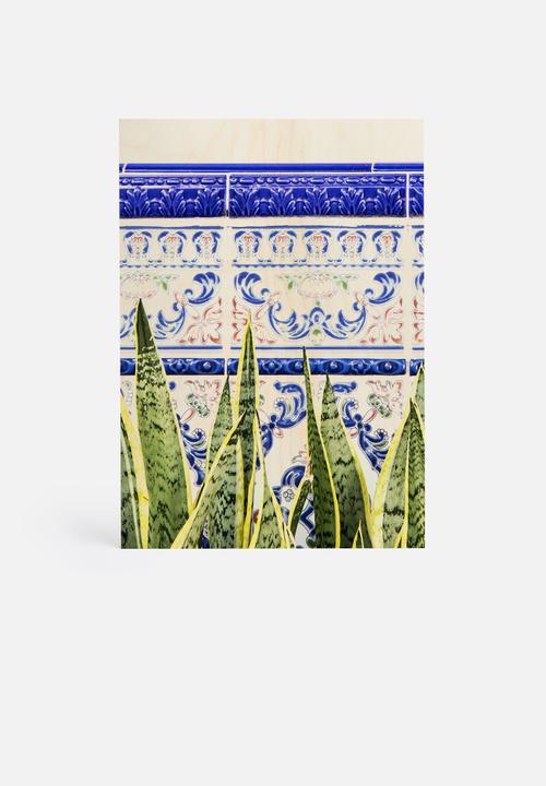 83 Oranges - Moroccan botany