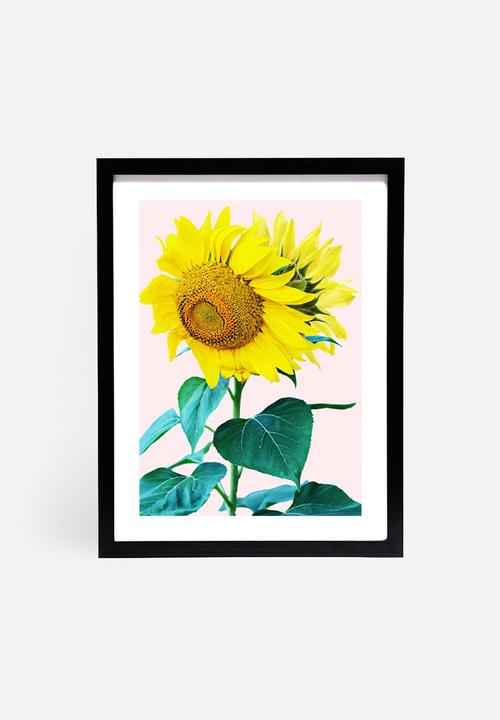83 Oranges - Sunflowers single