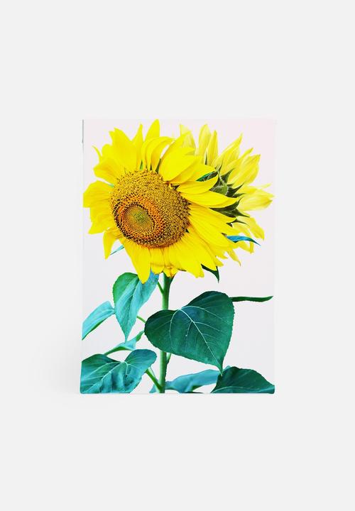 83 Oranges - Sunflowers single