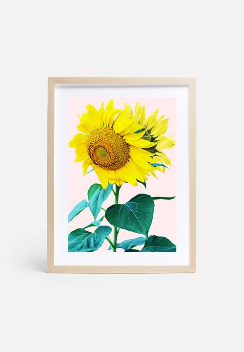 83 Oranges - Sunflowers single