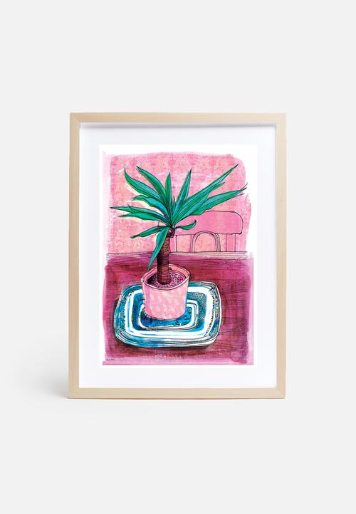 Sweet William - Little palm