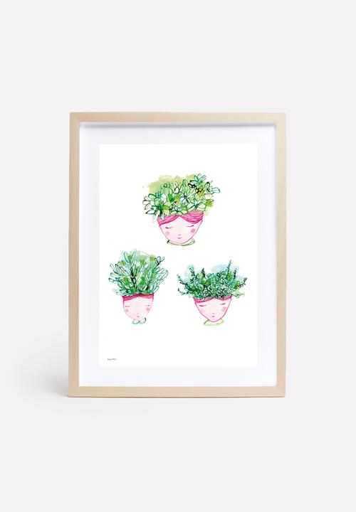 Sweet William - Little Succulents