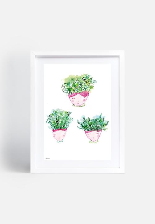 Sweet William - Little Succulents