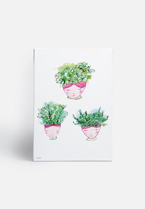 Sweet William - Little Succulents