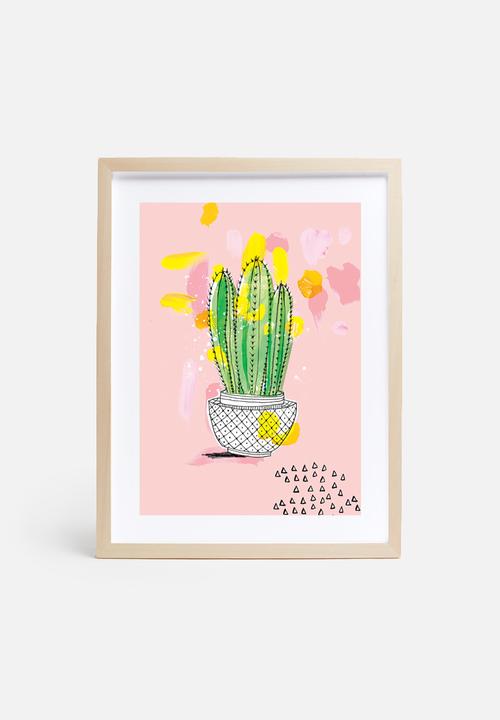 Sweet William - My Favourite Cactus