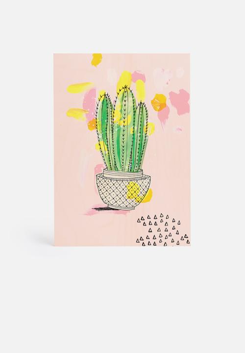 Sweet William - My Favourite Cactus