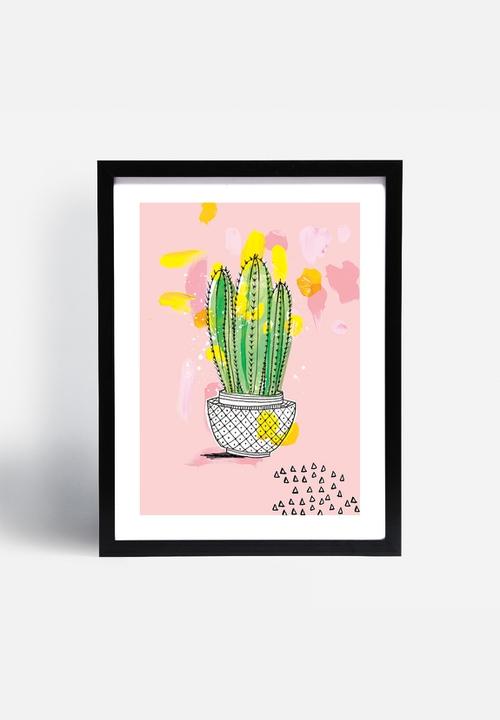 Sweet William - My Favourite Cactus