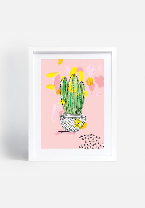 Sweet William - My Favourite Cactus