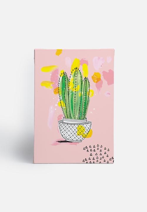 Sweet William - My Favourite Cactus
