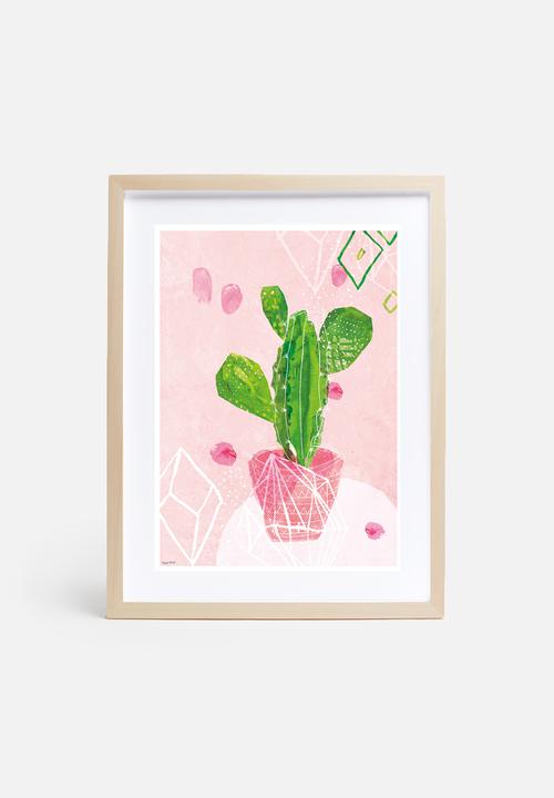Sweet William - Pastel Cactus