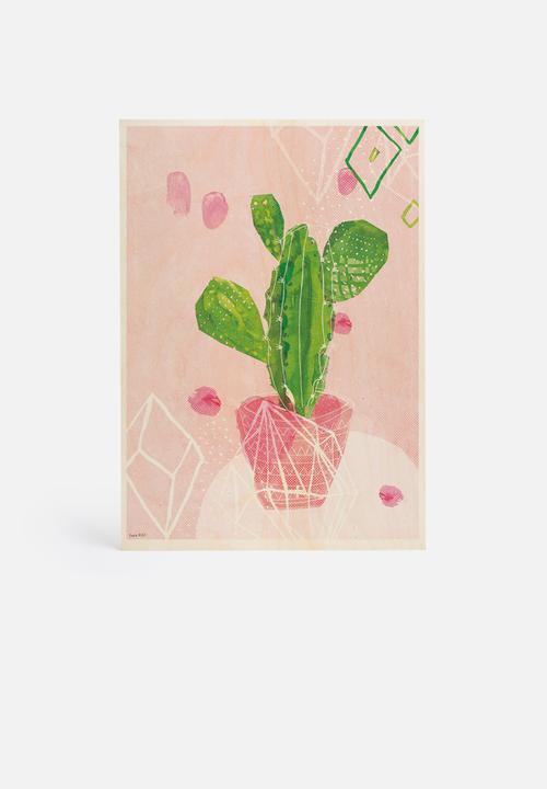 Sweet William - Pastel Cactus