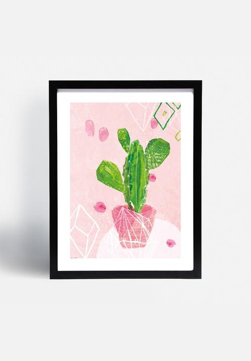 Sweet William - Pastel Cactus