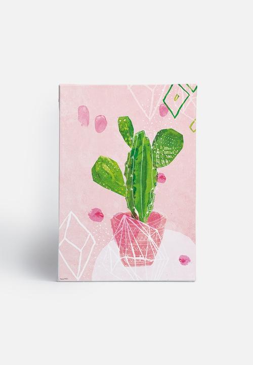 Sweet William - Pastel Cactus