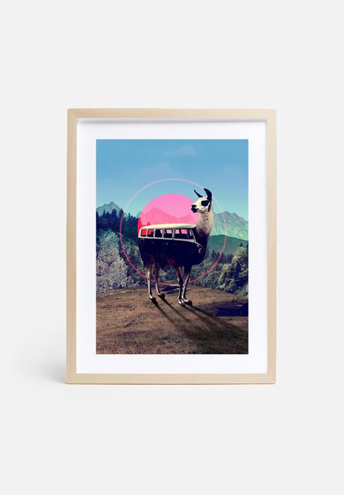 Ali Gulec - Llama