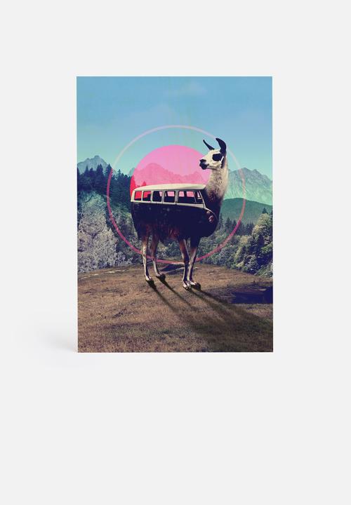 Ali Gulec - Llama