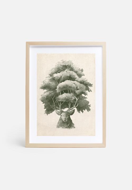 Terry Fan - Old Growth