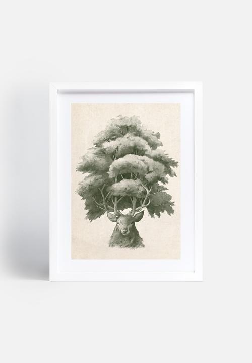 Terry Fan - Old Growth