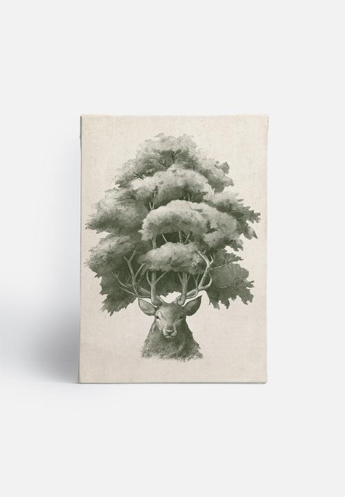 Terry Fan - Old Growth