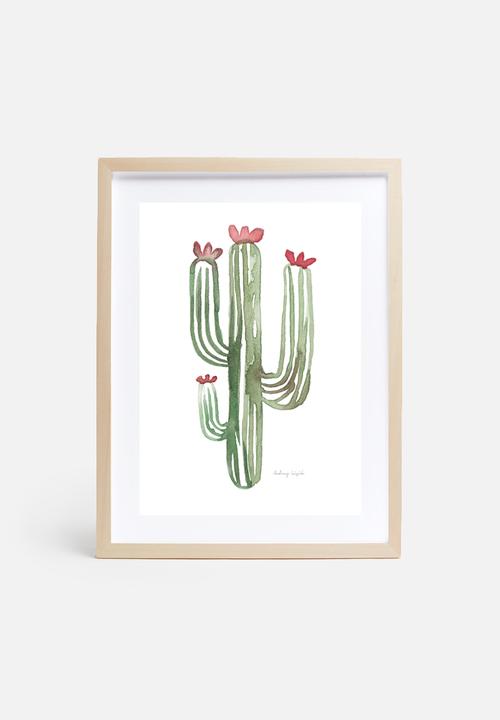 Stohne - Cactus cacti
