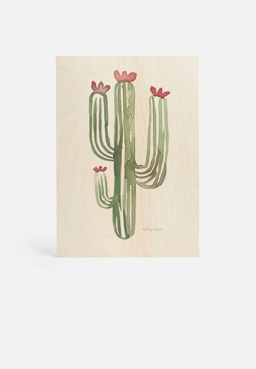 Stohne - Cactus cacti