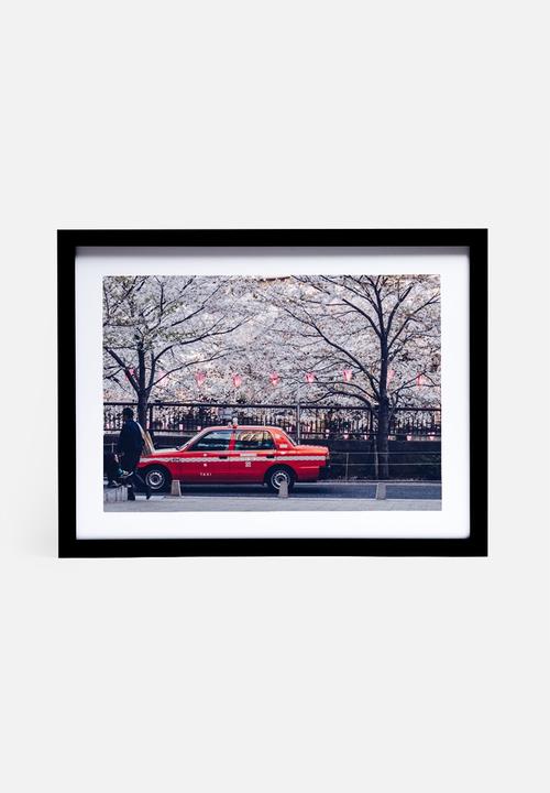 Dale Anne Scogings - Hanami