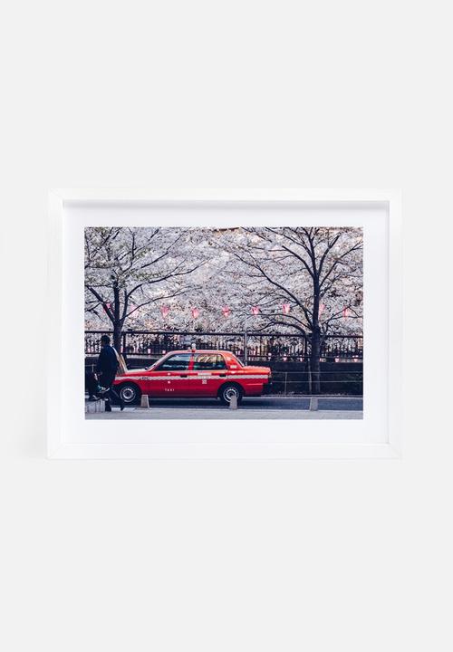 Dale Anne Scogings - Hanami