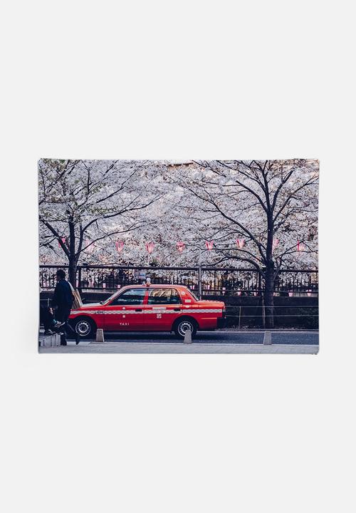 Dale Anne Scogings - Hanami