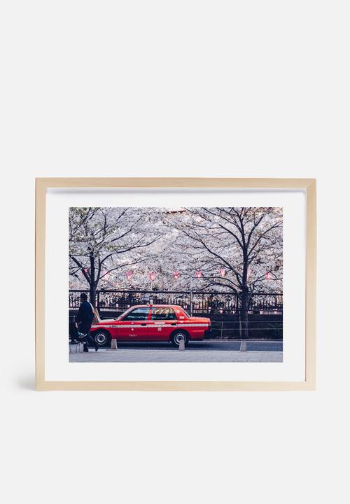 Dale Anne Scogings - Hanami