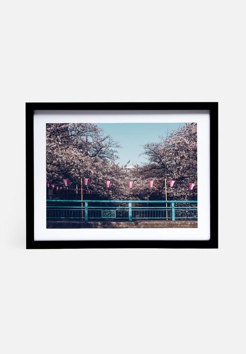Dale Anne Scogings - Hanami ii