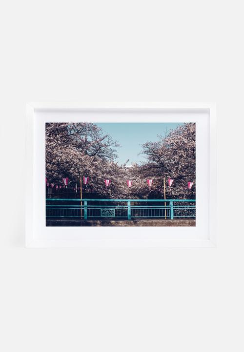 Dale Anne Scogings - Hanami ii