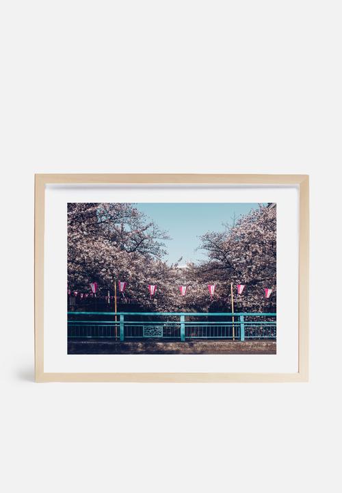 Dale Anne Scogings - Hanami ii