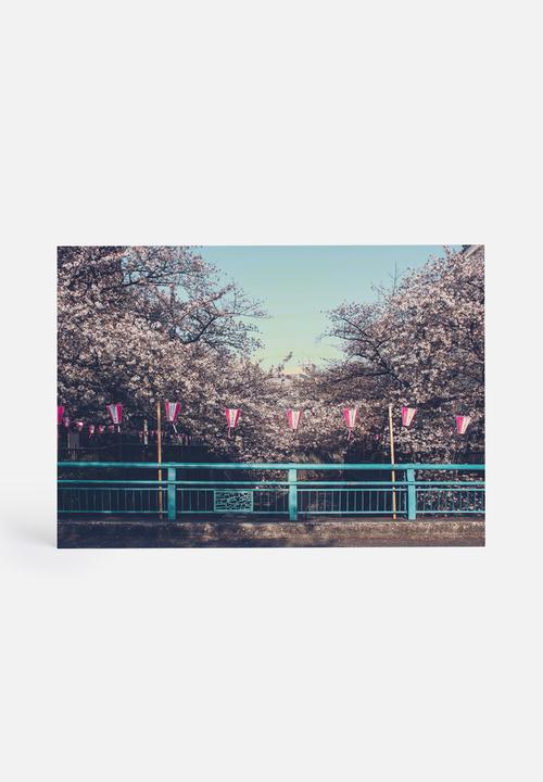 Dale Anne Scogings - Hanami ii