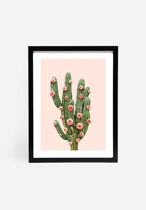 Paul Fuentes - Cactus and roses
