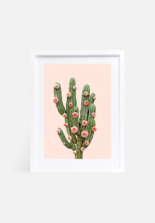 Paul Fuentes - Cactus and roses