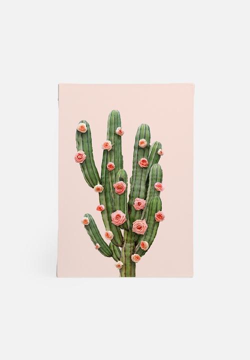 Paul Fuentes - Cactus and roses